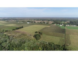 Van Buren County, Michigan Farmland - LAND AUCTION - 300+/- ACRES SPECIALTY CROP - GRAPES AND HOPS - OFFERED IN 8 TRACTS IN VAN BUREN COUNTY, MICHIGAN